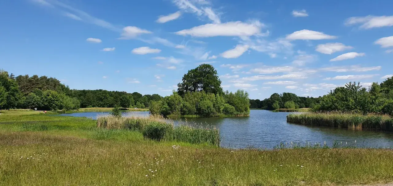Idyllische Landschaft am Auesee Espelkamp mit blauem Himmel, Wolken und üppiger Vegetation.