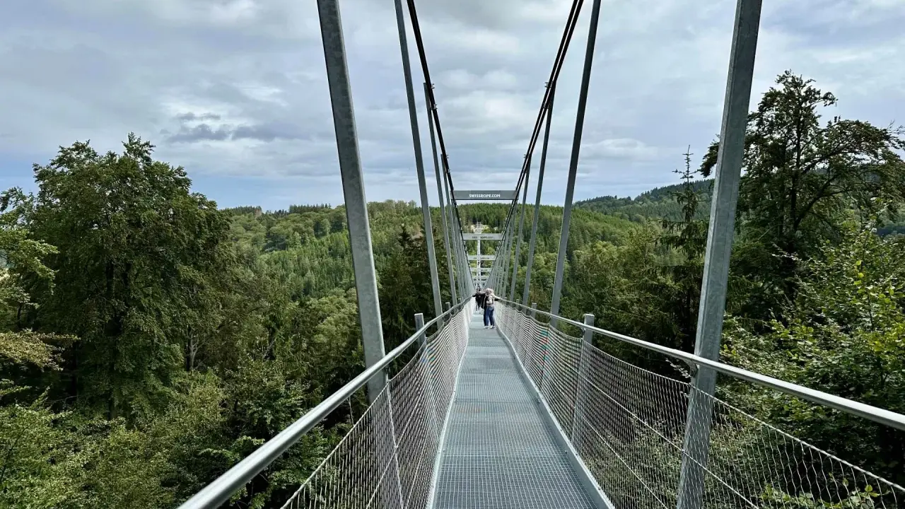 Blick über den Willingen Skywalk in eine grüne Waldlandschaft. Menschen spazieren auf dem Hängebrückenweg.