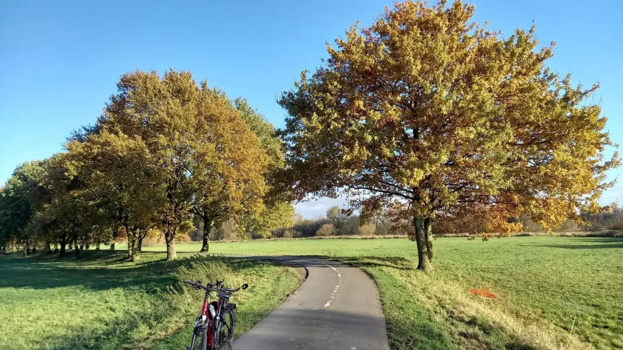 Fahrrad steht am Beginn einer asphaltierten Herford Route, gesäumt von Bäumen mit goldenem Herbstlaub.