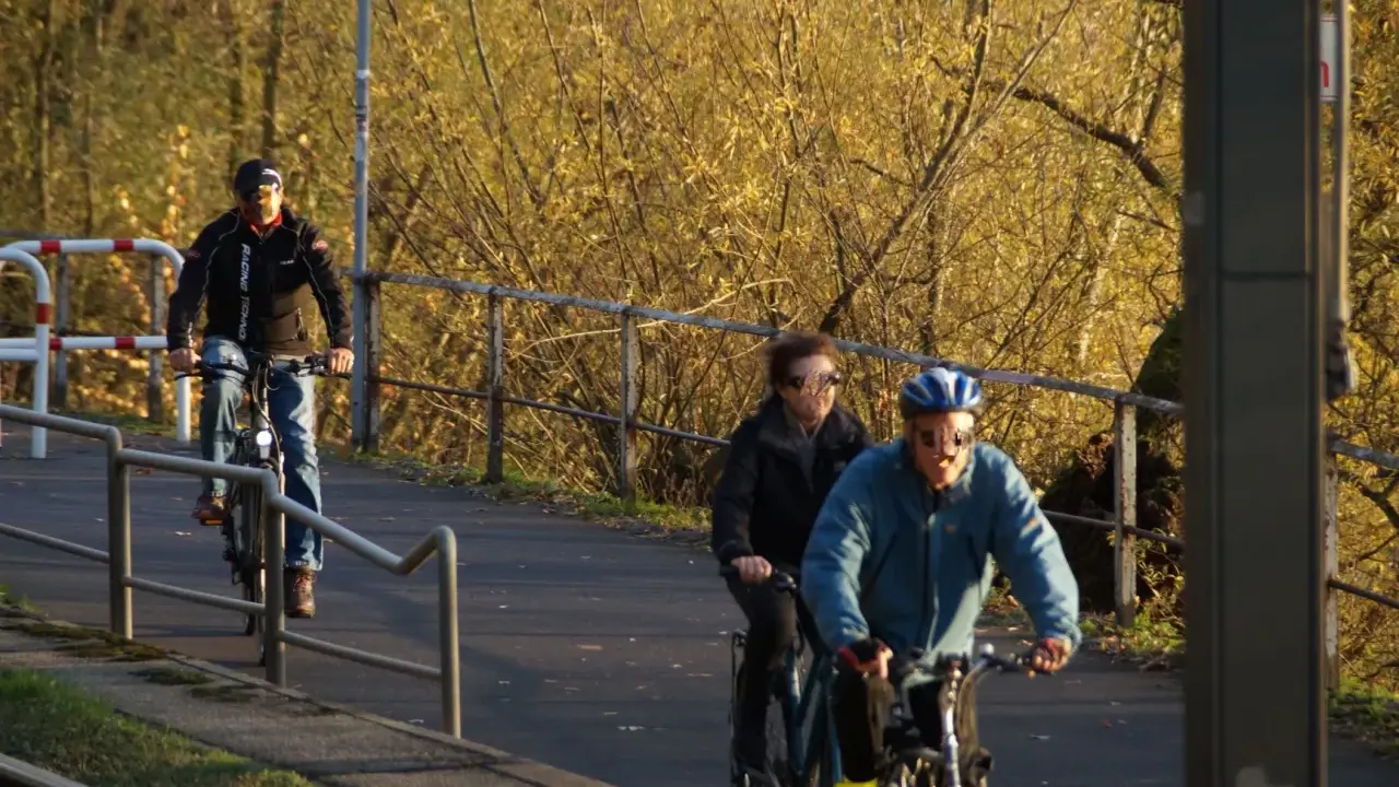 Radfahrer genießen den welt fahrrad tag auf einem sonnigen Weg.