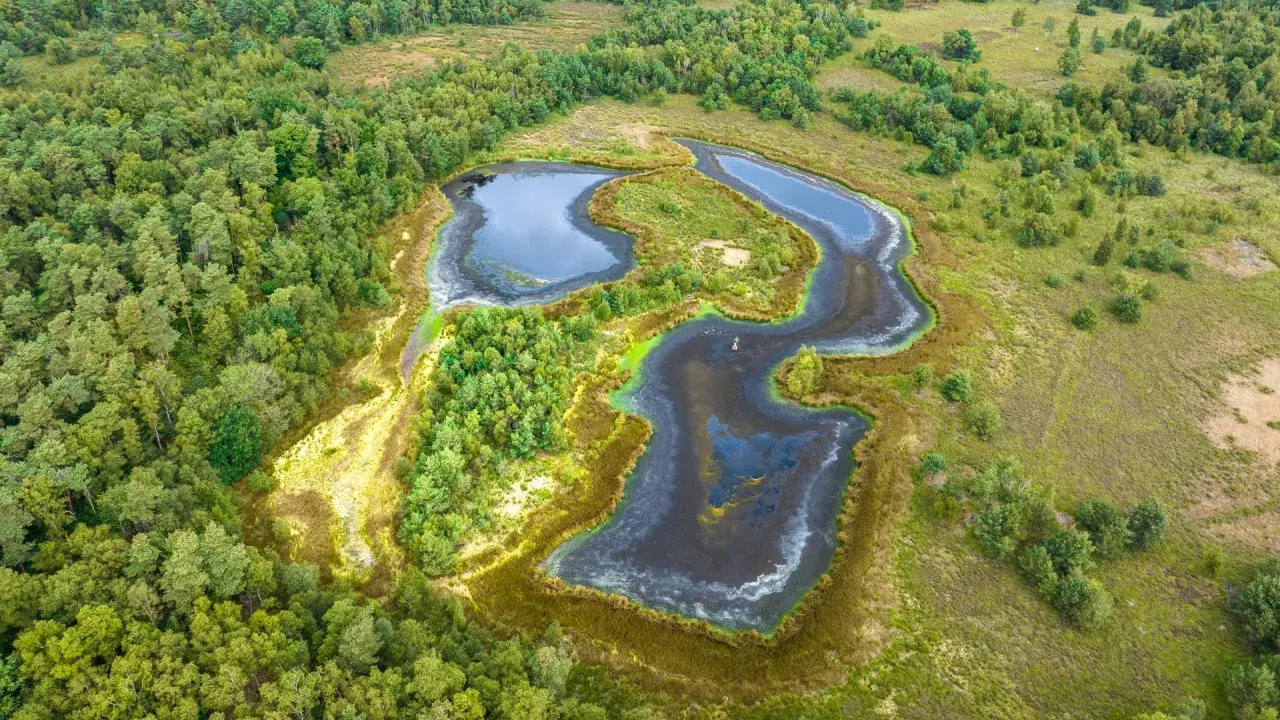 Luftaufnahme eines naturbelassenen **witte venn** mit dunklen Wasserflächen, umgeben von üppigem Grün und Bäumen.
