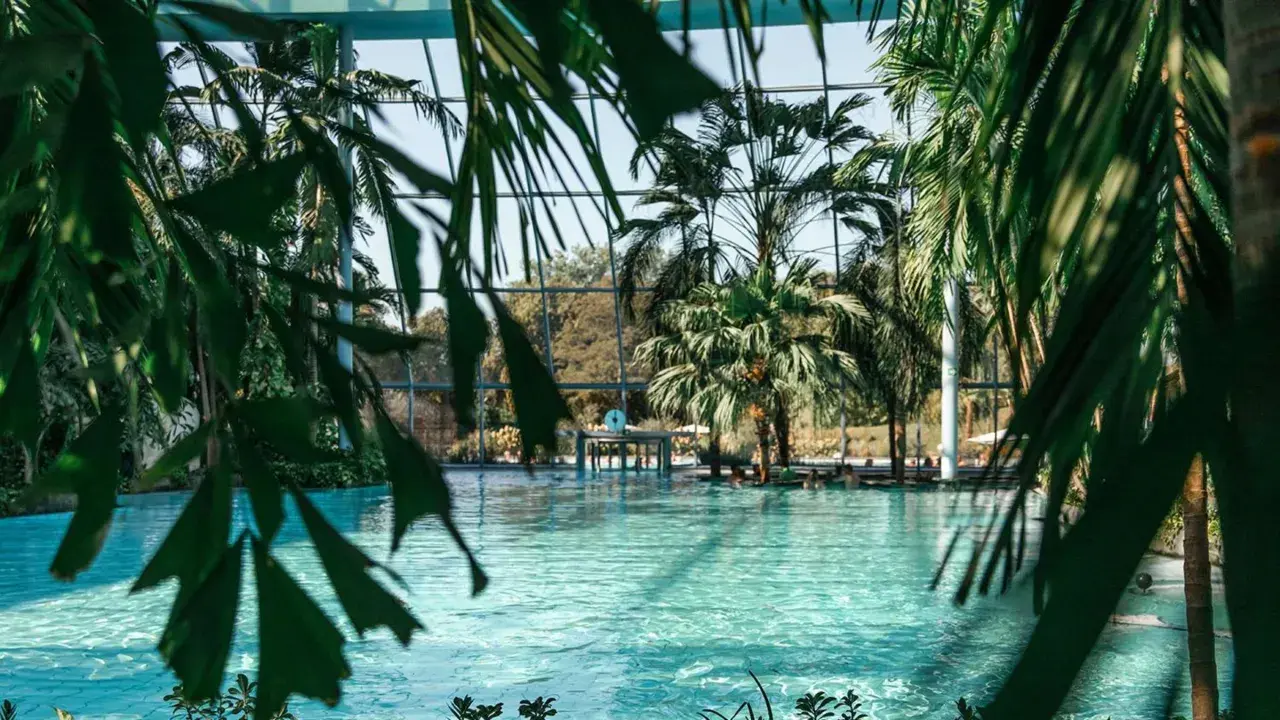 Tropisches Paradies zum **Schwimmen in NRW**. Palmen und türkisfarbenes Wasser unter einem Glasdach.