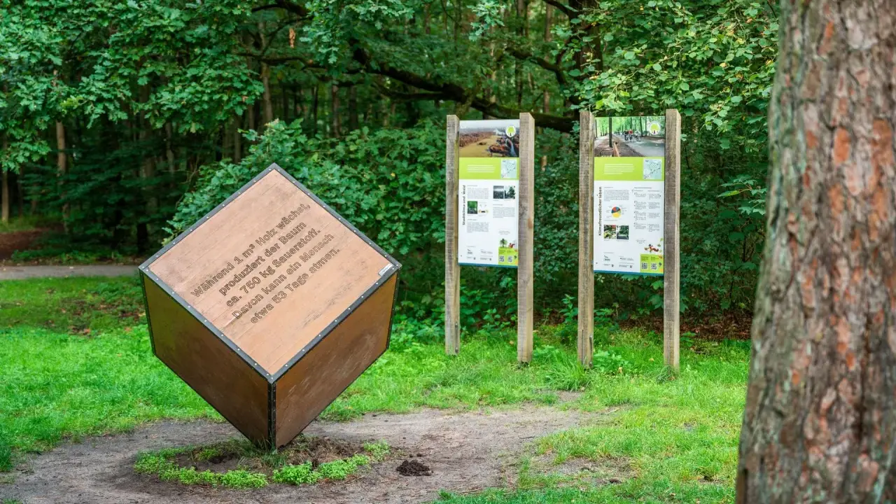 Ein großer Holzwürfel mit Text über Sauerstoffproduktion steht im Wald. Daneben informieren zwei Tafeln über klimafreundliches Leben.