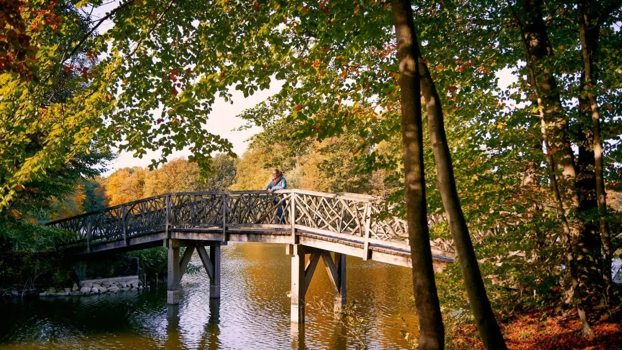 Herbstliche Brücke über den See im Bagno Steinfurt, eine Person lehnt am Geländer.