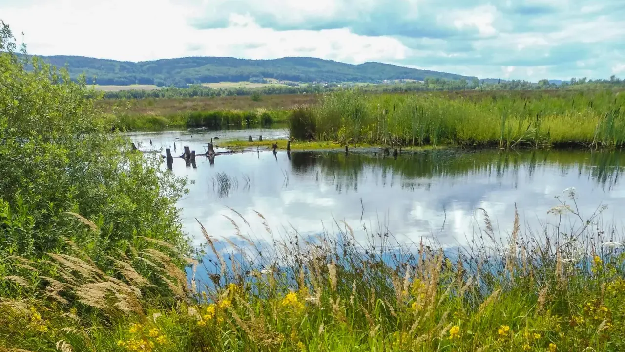 Hügelige Landschaft mit einem ruhigen Gewässer, umgeben von Schilf und Gräsern. Das Hiller Moor spiegelt den Himmel wider.