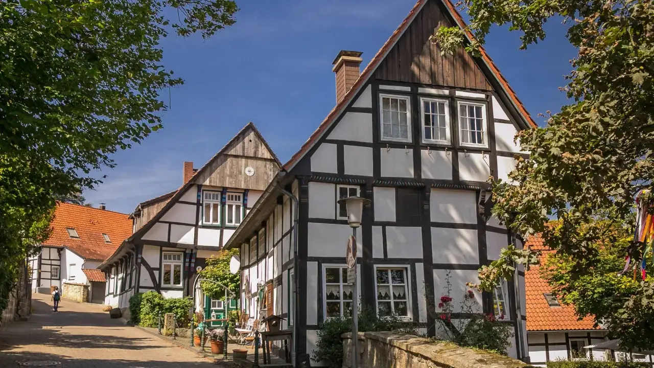 Fachwerkhäuser säumen eine Gasse in der Tecklenburg Altstadt. Ein Baum wirft Schatten auf die Straße.