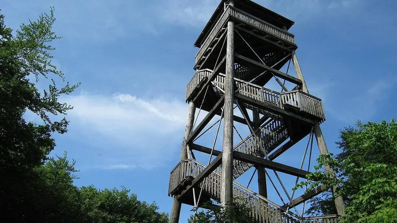 Holzturm mit vielen Stufen und Aussichtsplattformen, der Luisenturm in Borgholzhausen ragt in den blauen Himmel.