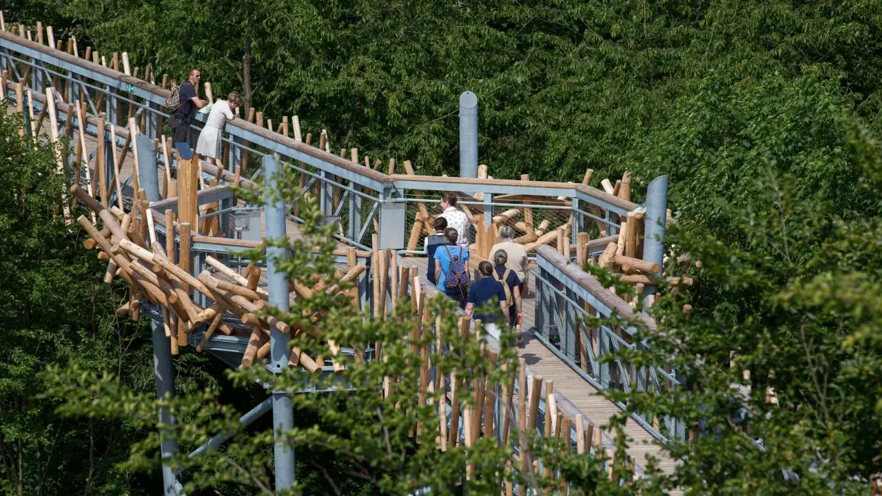 Menschen spazieren auf dem baumwipfelpfad Bad Iburg, umgeben von üppigem Grün.