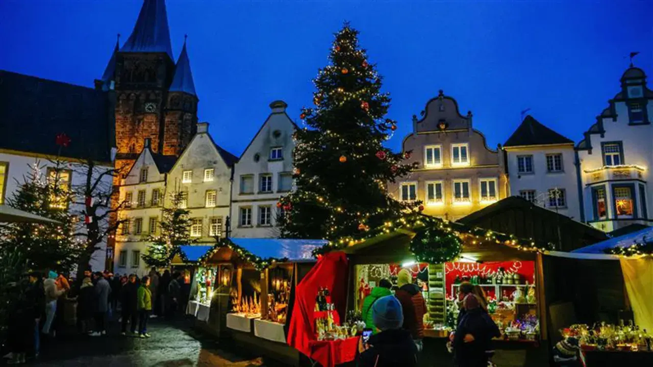 Festlicher Weihnachtsmarkt mit beleuchtetem Baum und Buden vor historischen Häusern. Ein Kandidat für den besten Weihnachtsmarkt NRW.