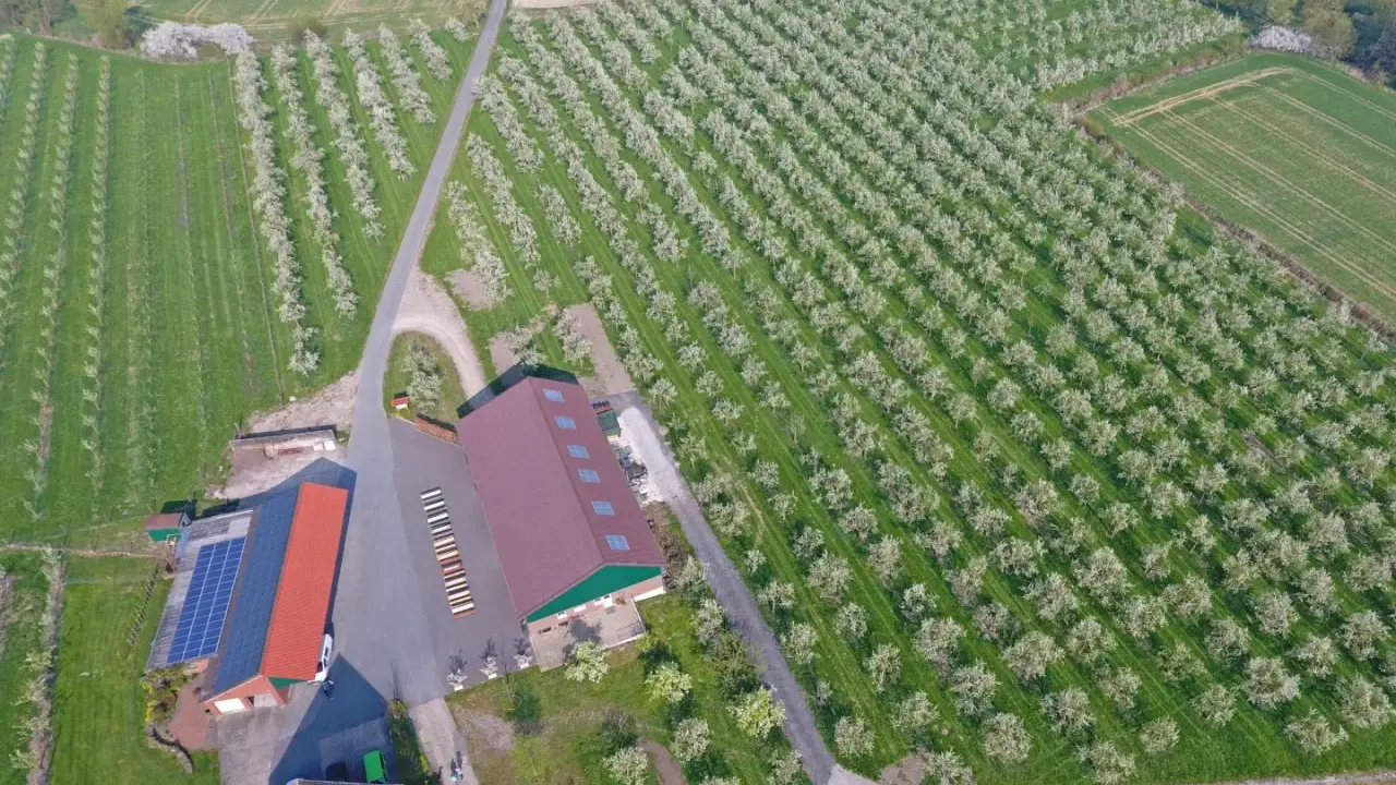 Blühende Obstplantagen bei Stromberg, Oelde. Ein Hof mit Solaranlage und Lagerhallen inmitten von Reihen von Obstbäumen.