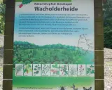 Infotafel zur Wacholderheide am Kleinen Selberg, die Lebensraum für viele Tiere und Pflanzen bietet. Sieben Quellen der Information sind hier dargestellt.