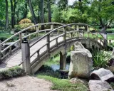 Eine hölzerne Bogenbrücke führt durch den grünen Herford Park. Ein kleiner Bach plätschert unter der Brücke hindurch.