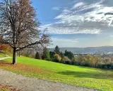 Herbstlicher Blick über den **Nordpark Wuppertal** mit einem kahlen Baum im Vordergrund und der Stadt im Tal.
