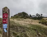 Wanderwegweiser mit Falken-Symbol und "H2"-Markierung, der zu den **rundwanderwege owl** führt. Ein Pfad schlängelt sich über einen grasbewachsenen Hügel zu einer Felsformation.