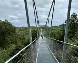 Blick über den Willingen Skywalk in eine grüne Waldlandschaft. Menschen spazieren auf dem Hängebrückenweg.
