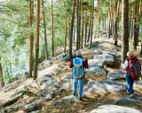 Wiehengebirge wandern - Dein Guide für perfekte Touren