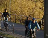 Radfahrer genießen den welt fahrrad tag auf einem sonnigen Weg.