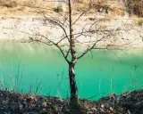 Ein kahler Baum steht am Ufer der blauen Lagune im Teutoburger Wald. Das Wasser schimmert türkisgrün vor der hellen Felswand.