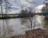 Ein schlammiger Fluss fließt durch eine herbstliche Landschaft. Der boker kanal radweg ist hier ein schöner Ort für eine ruhige Auszeit.