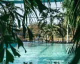 Tropisches Paradies zum **Schwimmen in NRW**. Palmen und türkisfarbenes Wasser unter einem Glasdach.