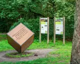 Ein großer Holzwürfel mit Text über Sauerstoffproduktion steht im Wald. Daneben informieren zwei Tafeln über klimafreundliches Leben.