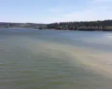 Blick über die Aabachtalsperre mit bewaldeten Ufern. Der Rundweg lädt zu Spaziergängen ein.