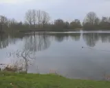 Ein ruhiger See in der Dedinge Heide, mit Bäumen am Ufer und einem Entenpaar, das über das Wasser gleitet.