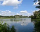 Ein ruhiger Fluss bei Bielefeld, gesäumt von grünen Bäumen und bewölktem Himmel. Enten schwimmen auf dem Wasser.