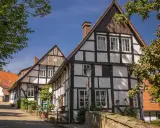 Fachwerkhäuser säumen eine Gasse in der Tecklenburg Altstadt. Ein Baum wirft Schatten auf die Straße.