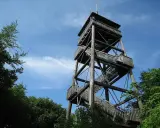 Holzturm mit vielen Stufen und Aussichtsplattformen, der Luisenturm in Borgholzhausen ragt in den blauen Himmel.