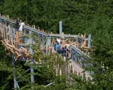 Menschen spazieren auf dem baumwipfelpfad Bad Iburg, umgeben von üppigem Grün.