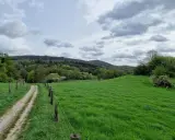 Ein schmaler Weg führt durch saftig grüne Wiesen und Wälder. Der bergweltenweg Steinhagen lädt zum Wandern ein.