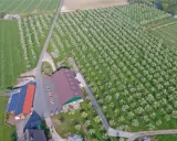 Blühende Obstplantagen bei Stromberg, Oelde. Ein Hof mit Solaranlage und Lagerhallen inmitten von Reihen von Obstbäumen.