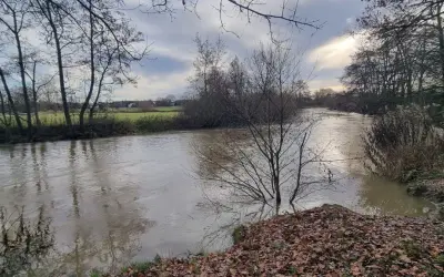 Ein schlammiger Fluss fließt durch eine herbstliche Landschaft. Der boker kanal radweg ist hier ein schöner Ort für eine ruhige Auszeit.