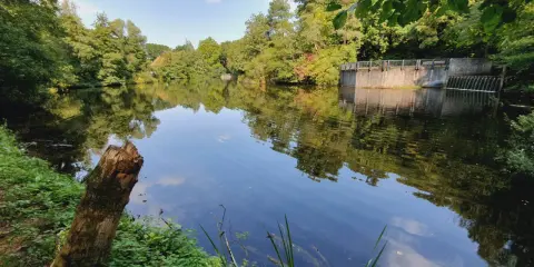 Idyllischer **Pivitker Wasserweg** mit ruhigem Wasser, üppiger Vegetation und einem kleinen Wehr im Hintergrund.