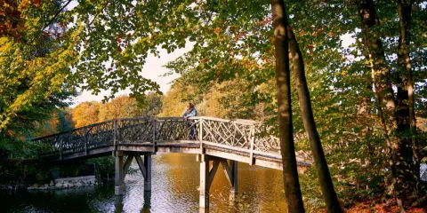 Herbstliche Brücke über den See im Bagno Steinfurt, eine Person lehnt am Geländer.