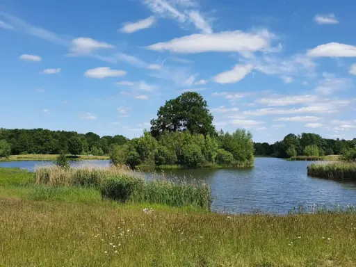 Idyllische Landschaft am Auesee Espelkamp mit blauem Himmel, Wolken und üppiger Vegetation.