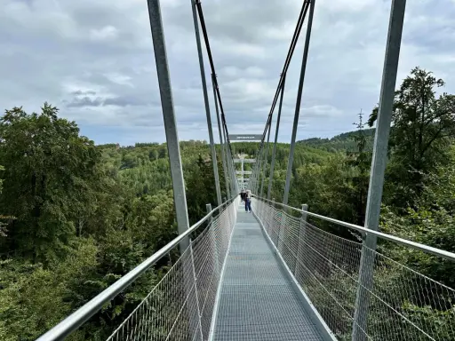 Blick über den Willingen Skywalk in eine grüne Waldlandschaft. Menschen spazieren auf dem Hängebrückenweg.