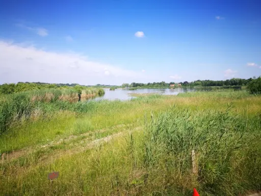 Idyllische Naturlandschaft mit Schilf und einem See, Heimat vieler Wasservögel, in der Gemeinde Wettringen.