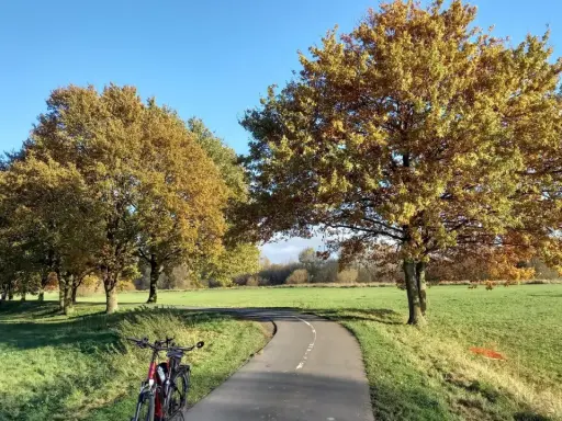 Fahrrad steht am Beginn einer asphaltierten Herford Route, gesäumt von Bäumen mit goldenem Herbstlaub.