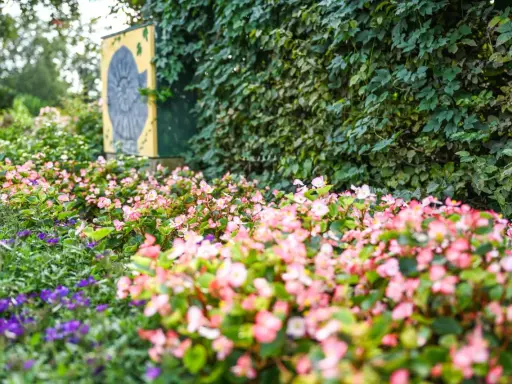 Bunte Blumen im Rosengarten Seppenrade, mit einer Wand aus grünen Blättern und einem gelben Schild mit Ammoniten-Symbol im Hintergrund.