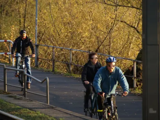 Radfahrer genießen den welt fahrrad tag auf einem sonnigen Weg.