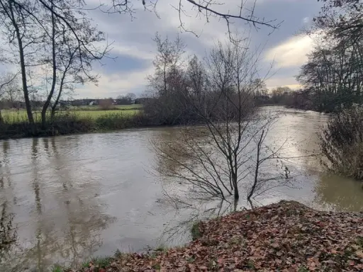 Ein schlammiger Fluss fließt durch eine herbstliche Landschaft. Der boker kanal radweg ist hier ein schöner Ort für eine ruhige Auszeit.