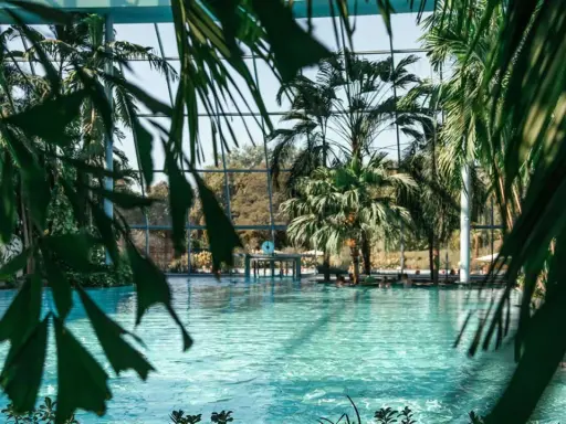 Tropisches Paradies zum **Schwimmen in NRW**. Palmen und türkisfarbenes Wasser unter einem Glasdach.