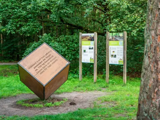 Ein großer Holzwürfel mit Text über Sauerstoffproduktion steht im Wald. Daneben informieren zwei Tafeln über klimafreundliches Leben.