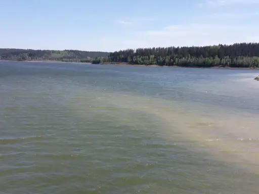 Blick über die Aabachtalsperre mit bewaldeten Ufern. Der Rundweg lädt zu Spaziergängen ein.