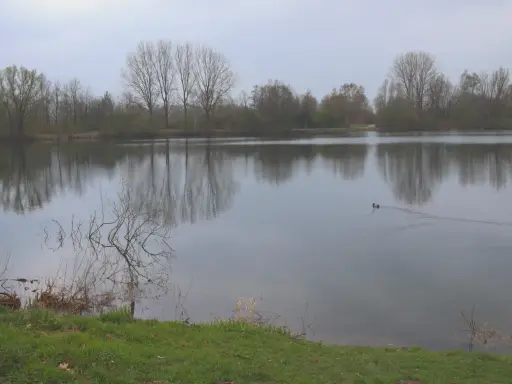 Ein ruhiger See in der Dedinge Heide, mit Bäumen am Ufer und einem Entenpaar, das über das Wasser gleitet.