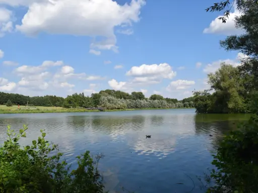 Ein ruhiger Fluss bei Bielefeld, gesäumt von grünen Bäumen und bewölktem Himmel. Enten schwimmen auf dem Wasser.
