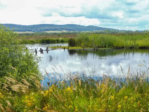 Hügelige Landschaft mit einem ruhigen Gewässer, umgeben von Schilf und Gräsern. Das Hiller Moor spiegelt den Himmel wider.
