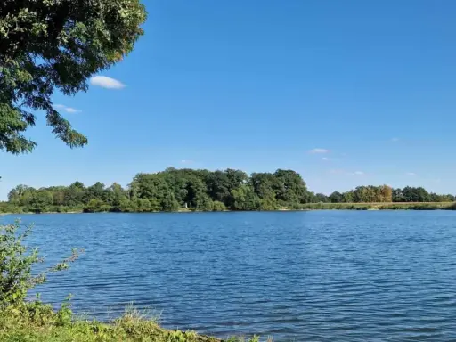 Blauer Himmel über dem ruhigen Linteler See, umgeben von üppigem Grün.